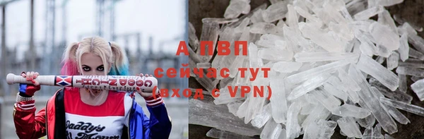 мяу мяу мука Тында