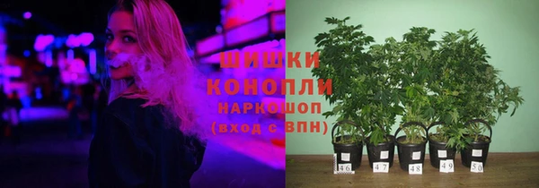 дживик Новокубанск