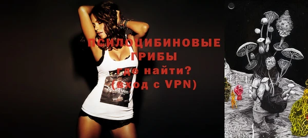 каннабис Новозыбков