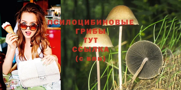 эйфоретик Новодвинск
