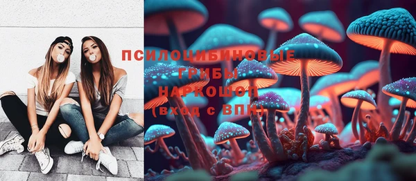 каннабис Новозыбков