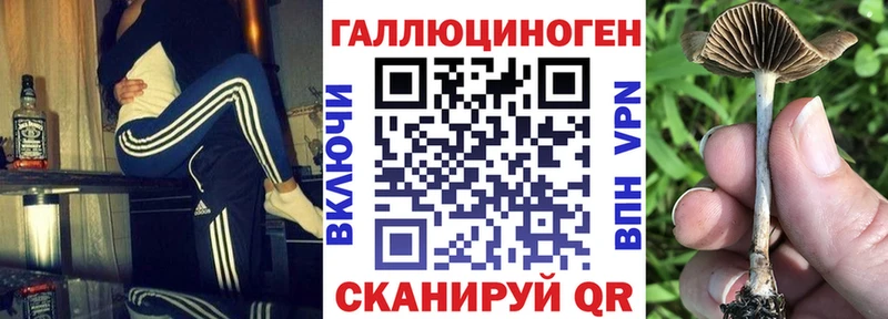 цены наркотик  Урень  mega ссылка  Галлюциногенные грибы Psilocybine cubensis 